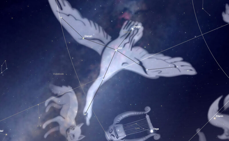 La costellazione del Cigno