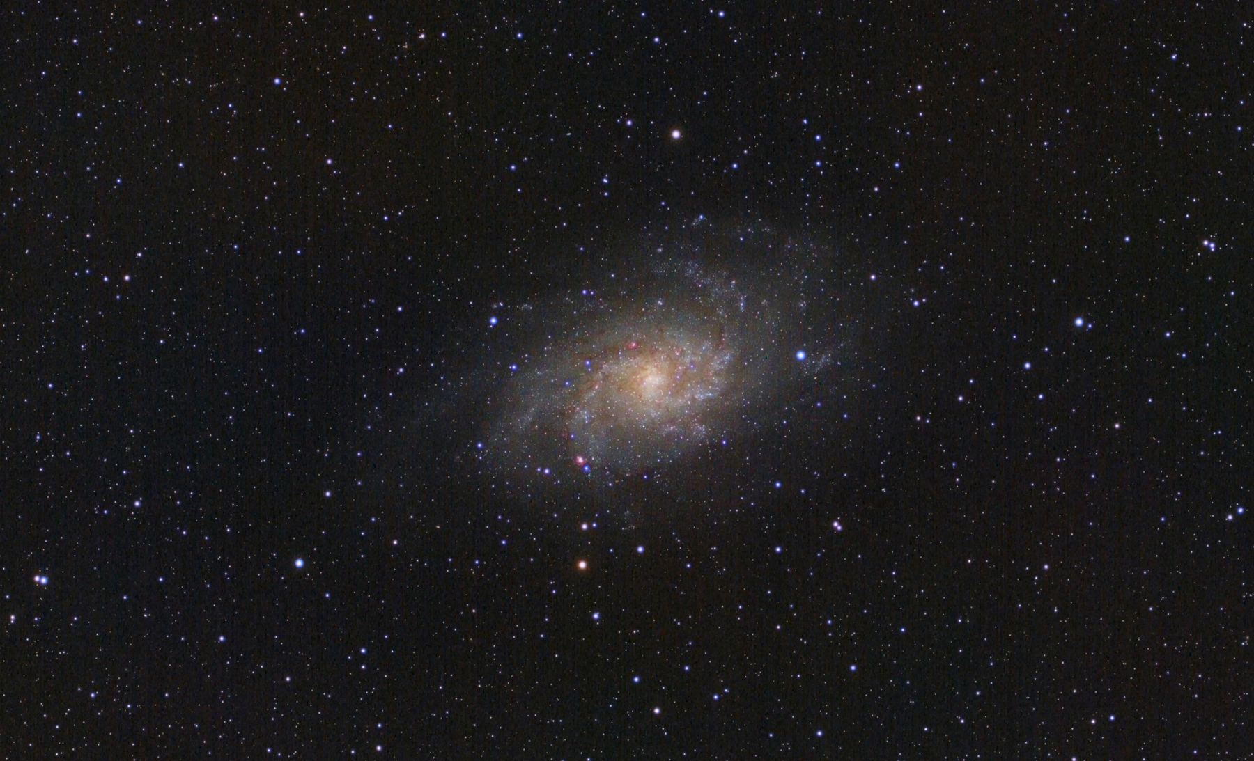 M33 GalassiaTriangolo