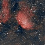 Nebulosa Tulipano