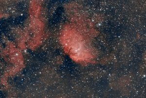 Nebulosa Tulipano
