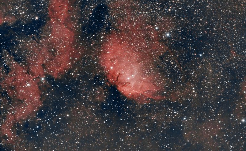 Nebulosa Tulipano