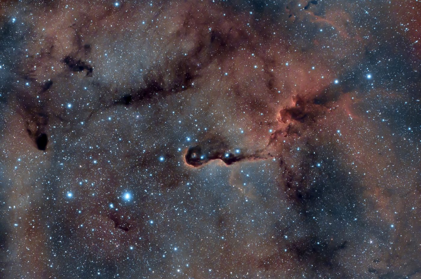 Nebulosa proboscide d’elefante