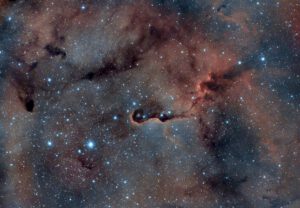 Nebulosa proboscide d’elefante