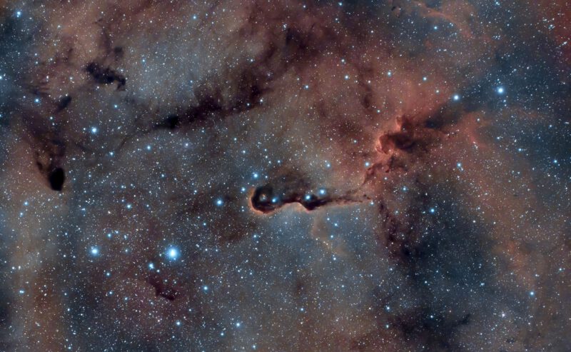 Nebulosa proboscide d’elefante